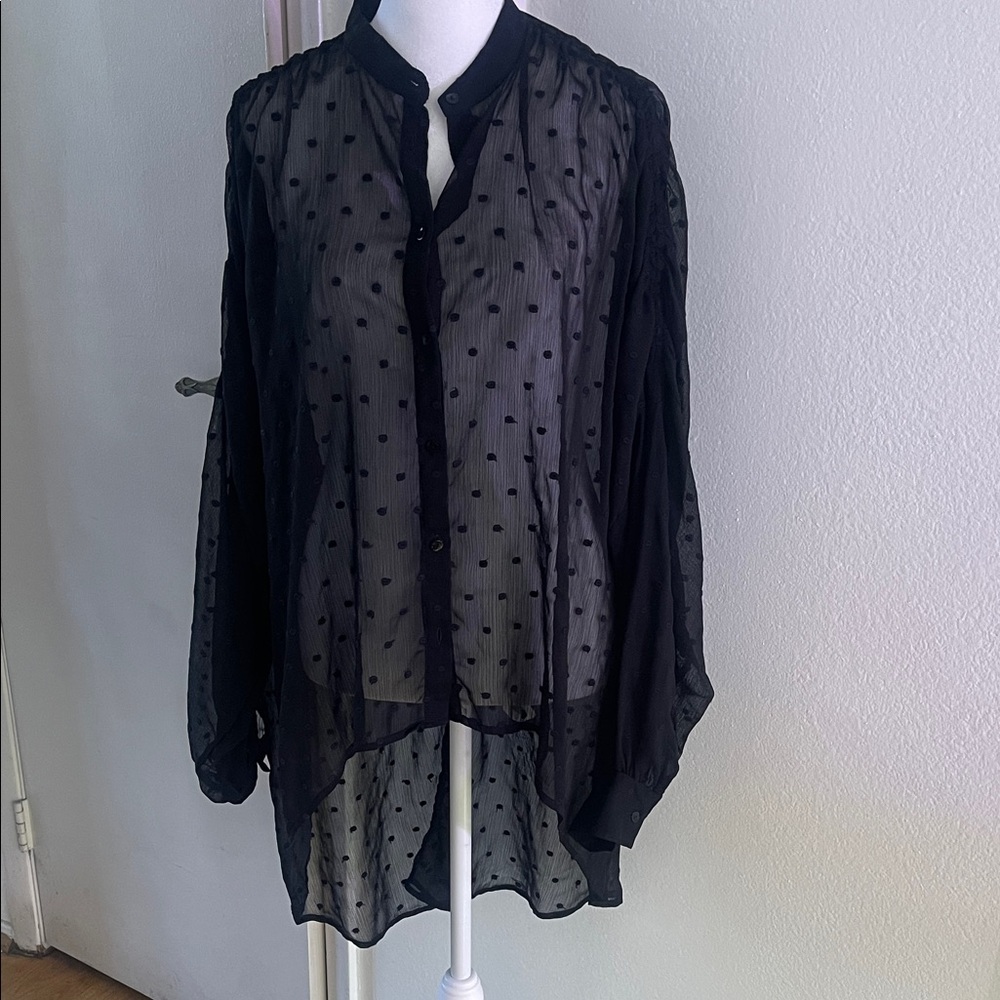 Sheer Black Polka Dot Blouse